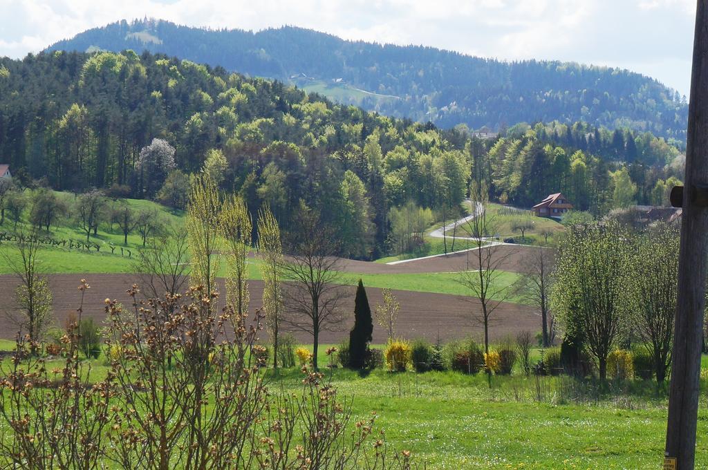 Pension Wolkenreich Oberhaag Exteriör bild